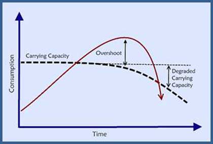 Consumption Over Time