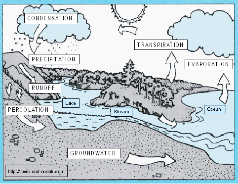 Water Quality Process