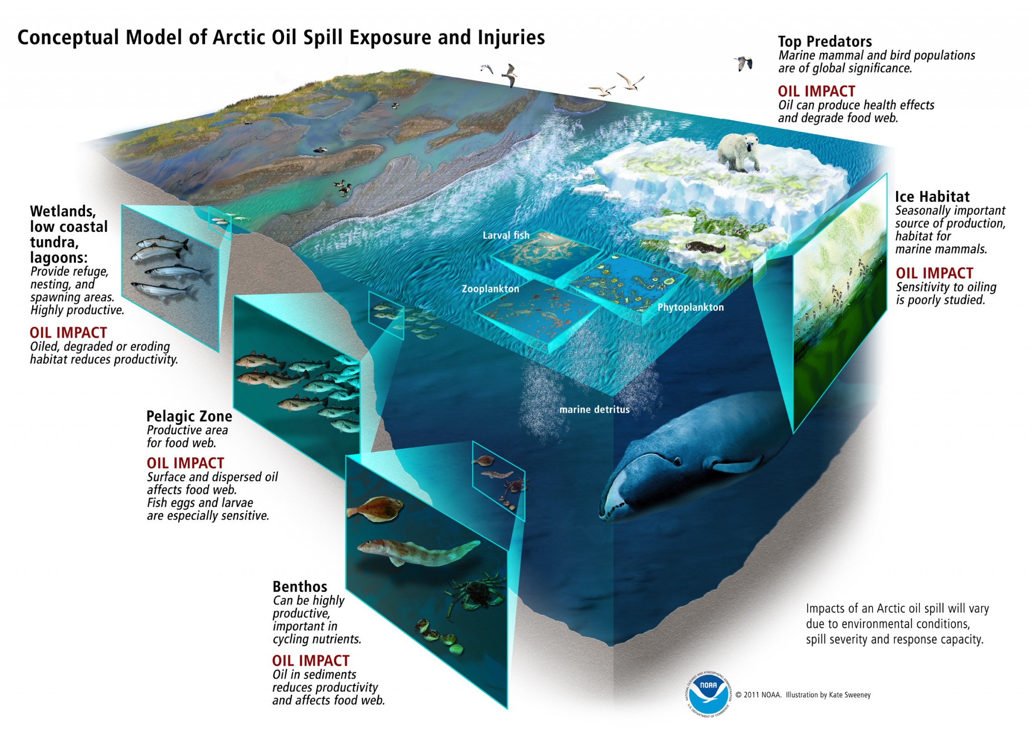 oil impact on arctic