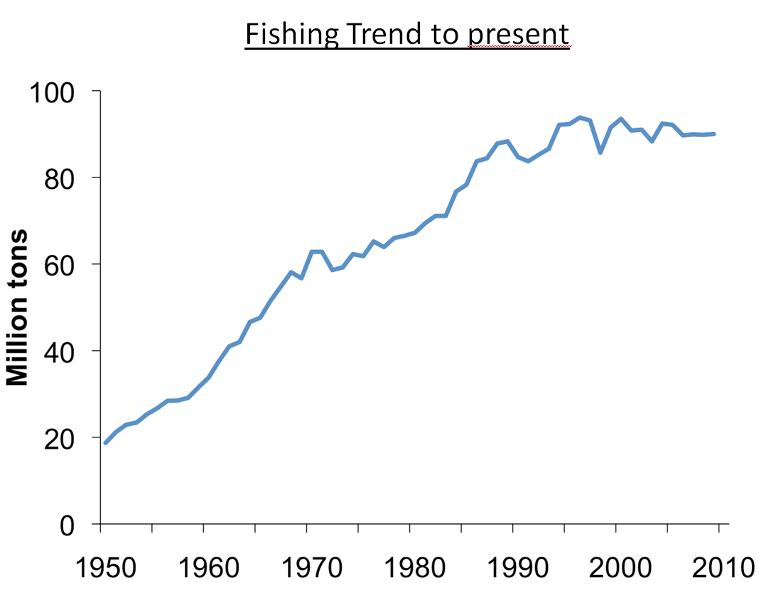 fishing trend to present