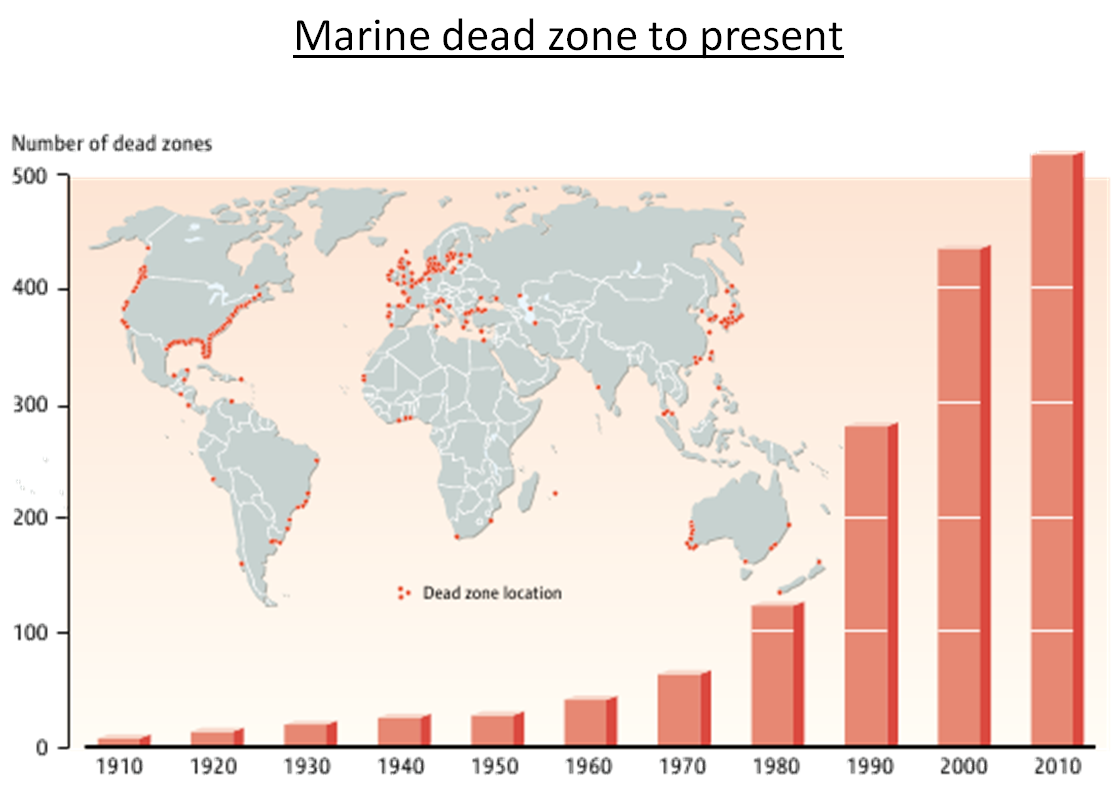 marine dead zone to present