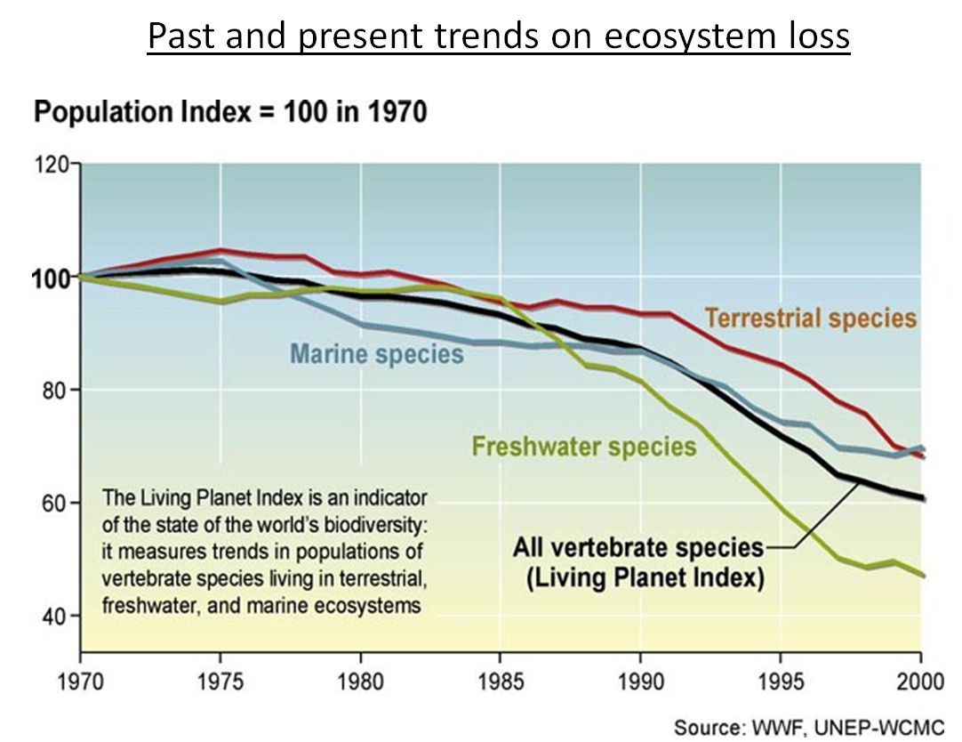 past and present trends on ecosystem loss