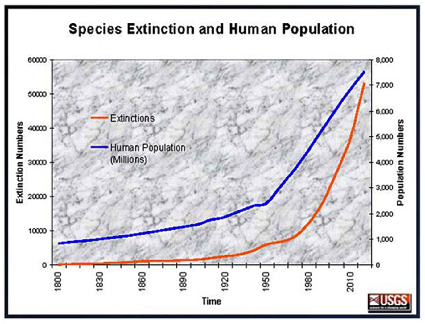 species extinction and human population