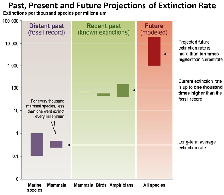 Past, Present and Future Projection of Extinction Rate Past, Present and Future Projection of Extinction Rate