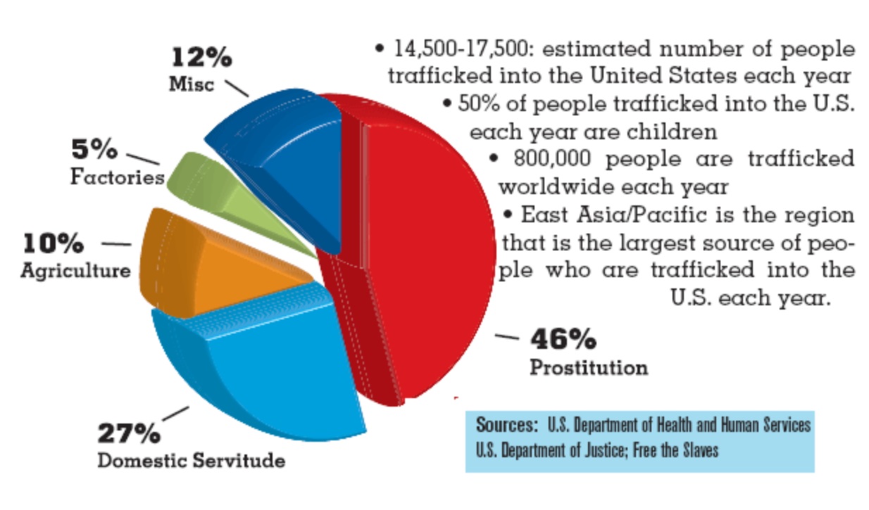 Human Trafficking Pie Chart