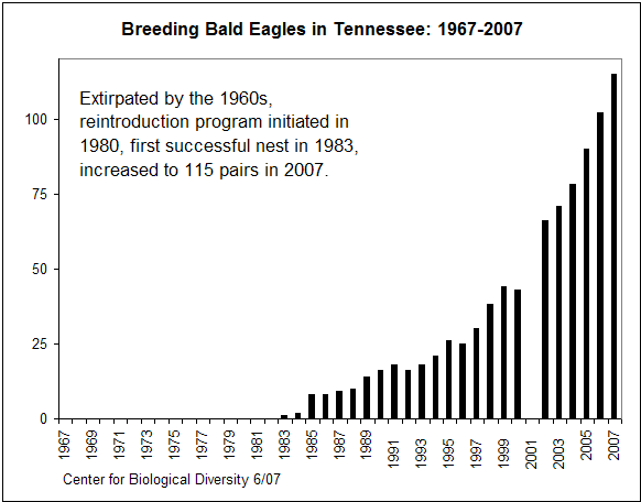 Breeding of Bald Eagles in Tennessee