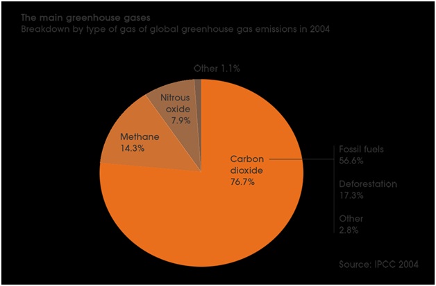 The main greenhouse gases