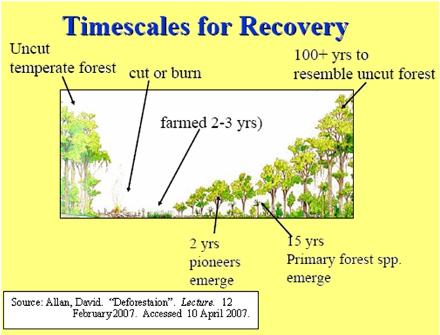 Timescales for recovery