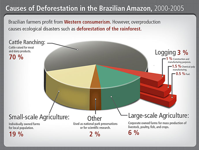 Causes of deforestation in the brazilian amazon