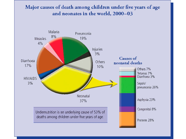 Major Causes of Death of Children and Infants (2000-2003) Major Causes of Death of Children and Infants (2000-2003)