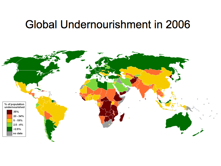 Global Undernourishment (2006)