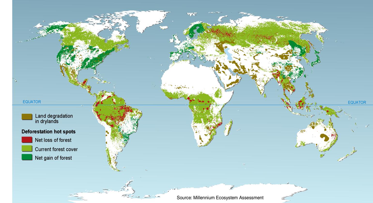 World deforestation