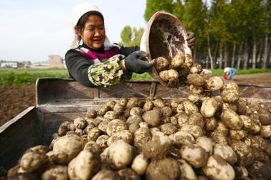 The world can feed itself without ruining the planet, study says The world can feed itself without ruining the planet, study says