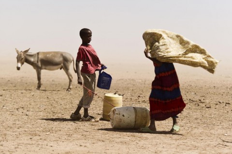 Fears rise of food shortages in West Africa Fears rise of food shortages in West Africa