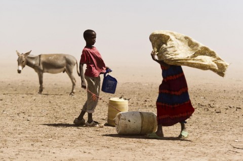 Fears rise of food shortages in West Africa