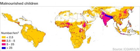 Climate to wreak havoc on food supply, predicts report Climate to wreak havoc on food supply, predicts report