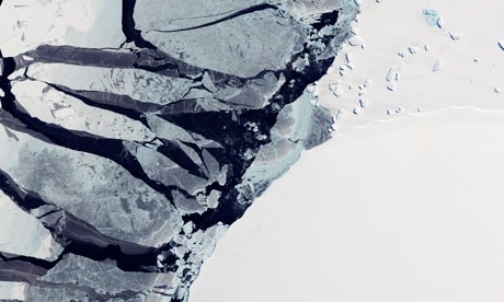antarctic antarctic