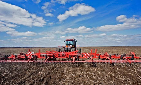 Agricultural farmland in Ukraine being prepared for planting wheat. Photograph: 