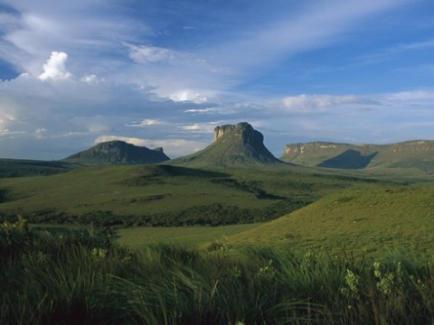 Disappearing Cerrado: 'Brazil's great untold environmental disaster' - audio sli