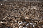Drought in China has affected 6.5 million hectares of farmland, the Office of State Flood Control and Drought Relief Headquarters said on its website on May 20. Photographer: Keith Bedford/Bloomberg Drought in China has affected 6.5 million hectares of farmland, the Office of St