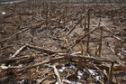 Drought in China has affected 6.5 million hectares of farmland, the Office of St