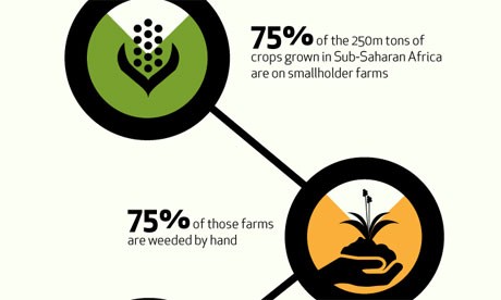 he female face of farming: infographic