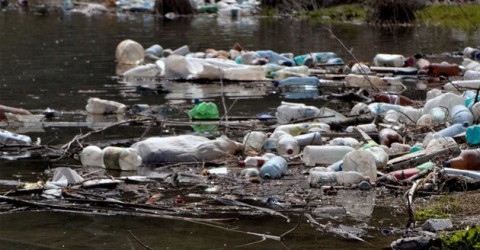 Dutch researchers invent a process to turn plants into plastics Dutch researchers invent a process to turn plants into plastics