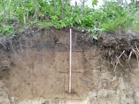 Higher CO2 Levels in Atmosphere May Speed Soil Emissions Higher CO2 Levels in Atmosphere May Speed Soil Emissions
