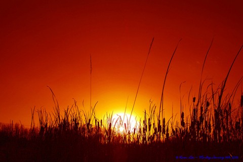 A Summer of Extremes Signifies the New Normal
