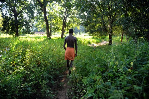 Tribal Districts Show Heavy Forest Degradation Tribal Districts Show Heavy Forest Degradation