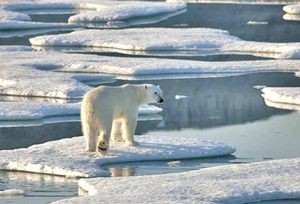 Revealed: the secret battle for the riches of the Arctic Revealed: the secret battle for the riches of the Arctic
