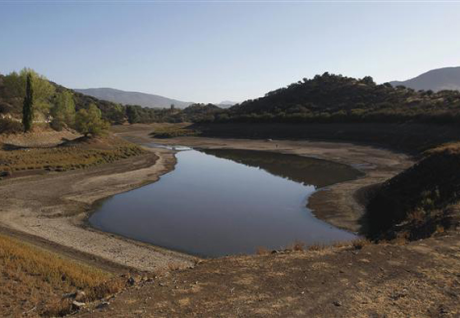 Water-short world will need 'more crop per drop' - experts Water-short world will need 'more crop per drop' - experts