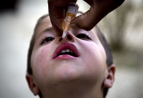 WHO to declare polio global health emergency