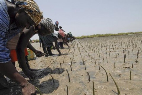 UN Report: Resiliant People Resiliant Planet, A Future Worth Choosing UN Report: Resiliant People Resiliant Planet, A Future Worth Choosing