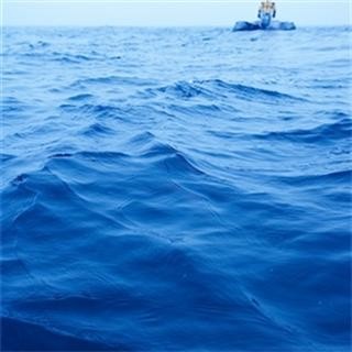 Urgent Investment In Renewables Needed
