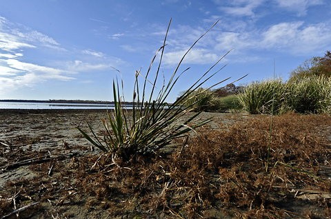 Tracking How the World Guzzles Water