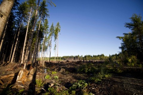 Report: Global Biodiversity Down 30 Percent in 40 Years Report: Global Biodiversity Down 30 Percent in 40 Years