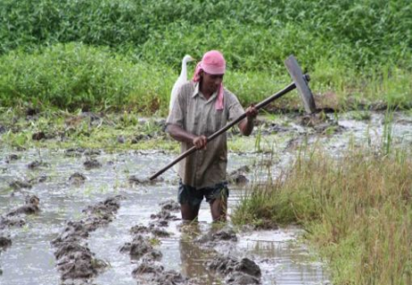 Water systems at risk from growing demand for food - expert