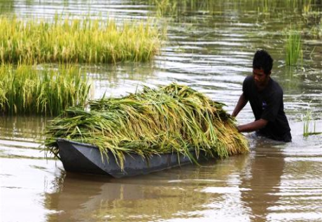 River basins could double food production - study River basins could double food production - study